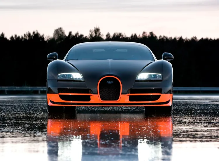 renting-bugatti-veyron-8-3.webp