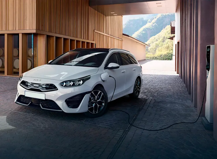 renting-kia-ceed-6-3.webp