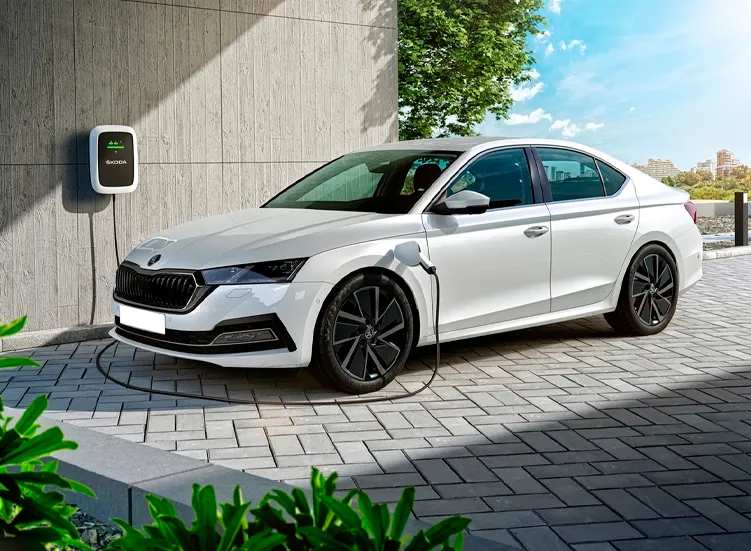 renting-skoda-octavia-6-3.webp